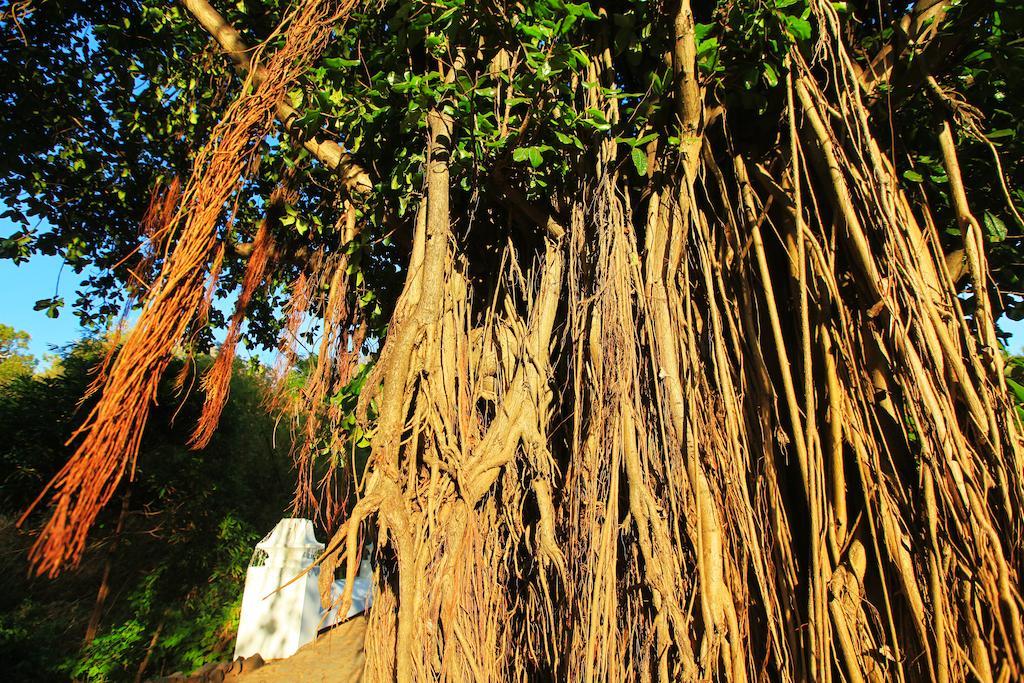Pousada Do Vale Fernando de Noronha Ngoại thất bức ảnh