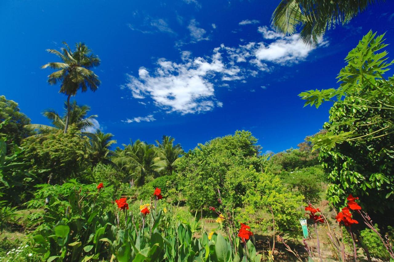 Pousada Do Vale Fernando de Noronha Ngoại thất bức ảnh